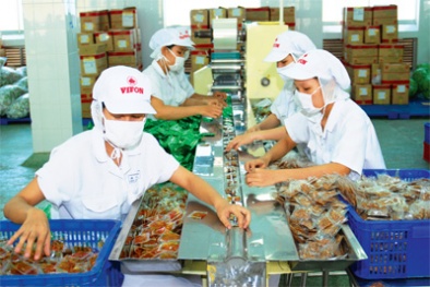Vai trò ISO 22000 trong lĩnh vực 13Win OKVIP Cá cược bóng đá